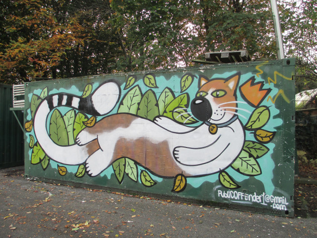 Cat painting on side of disused container